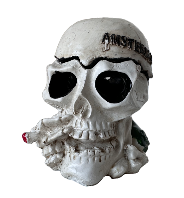 B06 Big Amsterdam Design Skull