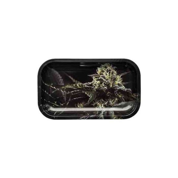 OG Kush Strains Rolling Tray (27×16)