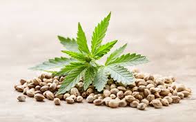 Autoflowering